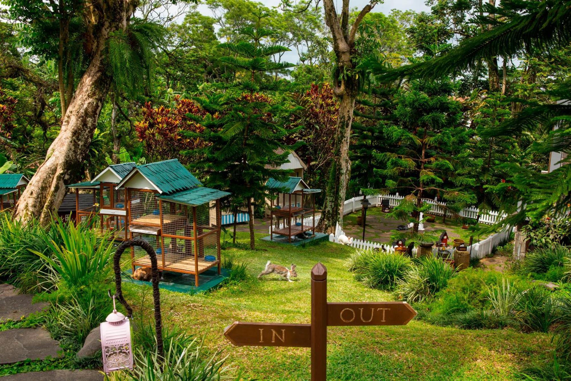 Novus Giri Resort & Spa Puncak Esterno foto